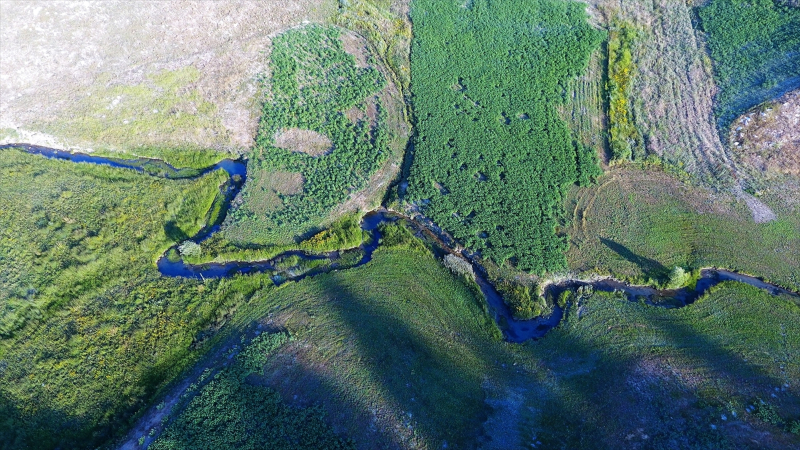 Kahramanmaraş'ta Karadeniz yaylalarını aratmayan görsel şölen