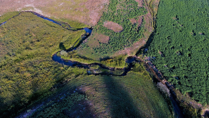 Kahramanmaraş'ta Karadeniz yaylalarını aratmayan görsel şölen