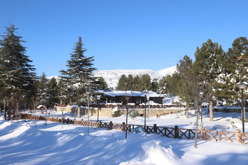 DULKADİROĞLU'NDA KAR MANZARASI