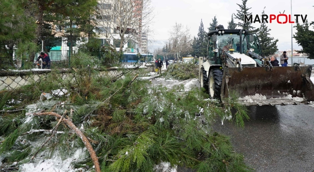 Kar Savurdu, Ekipler Temizledi