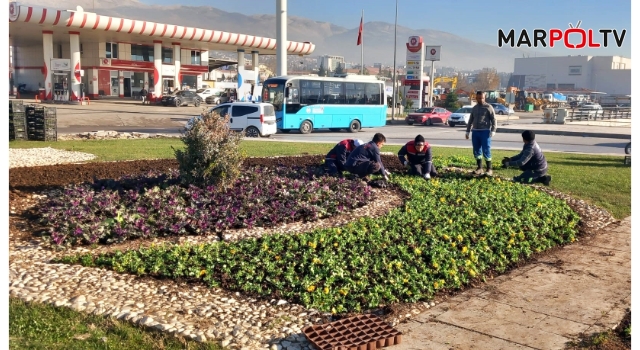 Büyükşehir, Kent Estetiği İçin Sahada