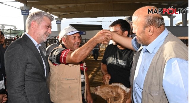 Başkan Görgel: “Büyükşehir Olarak Kurban Bayramı’na Hazırız”