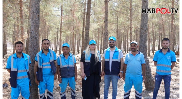 DULKADİROĞLU BELEDİYESİ'NDEN SİVRİCEHÜYÜK MAHALLESİ'NDE BULUNAN ORMANLIK ALANDA KAPSAMLI ÇEVRE TEMİZLİĞİ