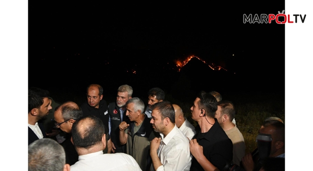 Başkan Görgel, Orman Yangını Alanında İncelemelerde Bulundu