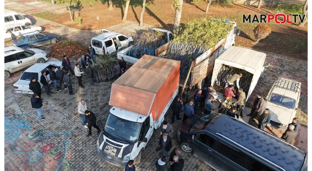 Büyükşehir’den Bin 500 Üreticiye 193 Bin Adet Fidan Desteği