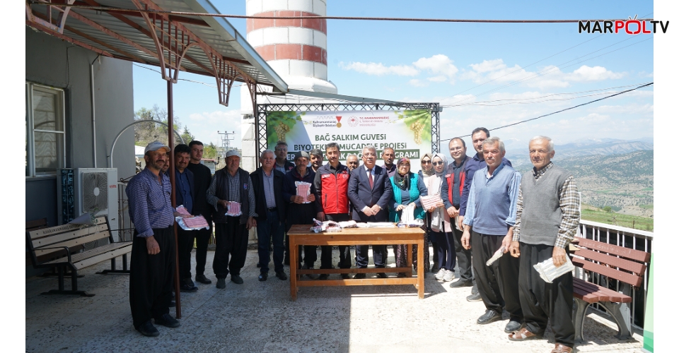 Büyükşehir’den Bertiz’de Kabarcık Üzümüne Doğal Koruma Hamlesi