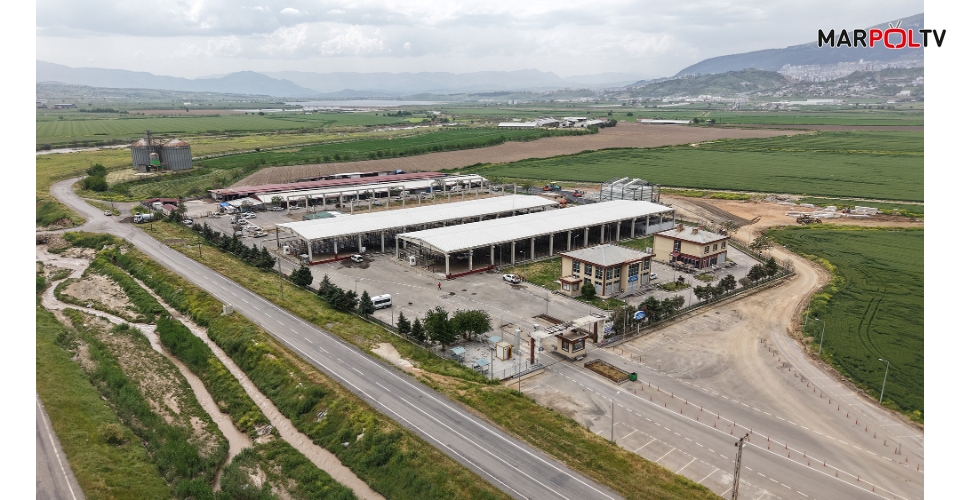 Canlı Hayvan Borsası Kurban Bayramı’na Hazır; Kurbanlık Satışları Başlıyor