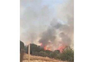 Kahramanmaraş’ta orman yangını paniğe neden oldu