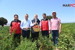 Başkan Görgel: “Maraş Biberi Hasadının Bereketli Olmasını Diliyorum”