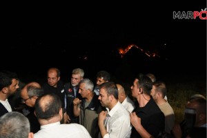 Başkan Görgel, Orman Yangını Alanında İncelemelerde Bulundu