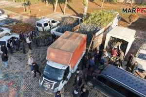 Büyükşehir’den Bin 500 Üreticiye 193 Bin Adet Fidan Desteği