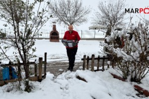 Soğuk Havada Büyükşehir’den Can Dostlara Şefkat Eli