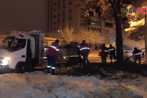 Yoğun Kar Yağışıyla Kırılan Ağaç Dallarına Hızlı Müdahale