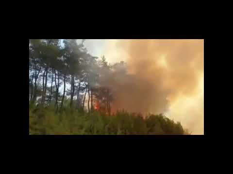 Son Dakika Kahramanmaraş Andırın Orman Yangını Felaketi